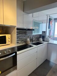 Blk 9 Holland Avenue (Queenstown), HDB 3 Rooms #596362011